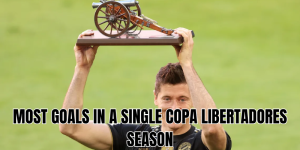 most goals in a single copa libertadores season